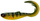 Yellow Perch \ 17cm