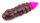 3.2cm \ #139 - Earthworm/Hot Pink \ Serowy