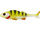 18cm \ Yellow Perch