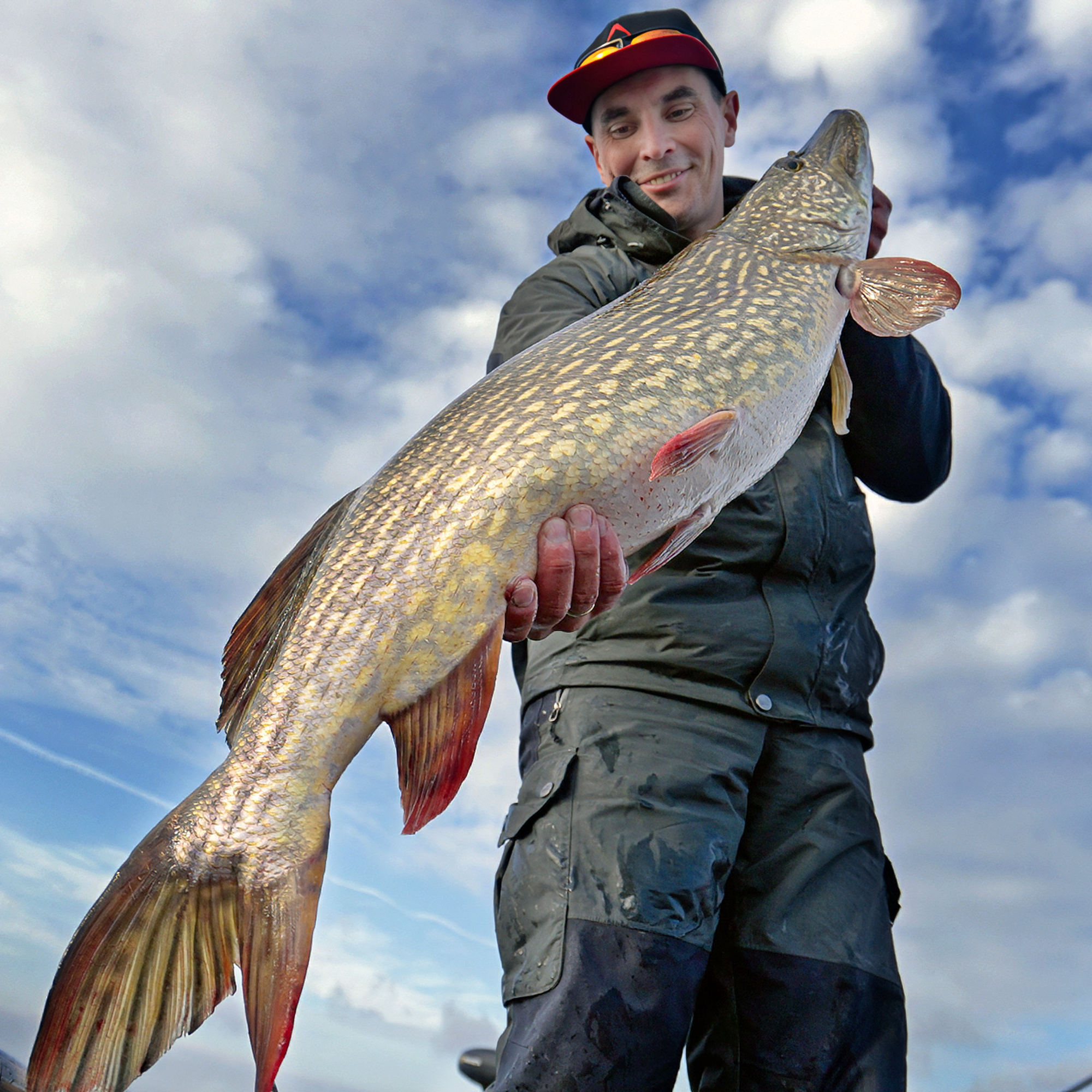 Wędka Favorite Blue Bird Ace Series 2.21m 2-8g Ex.Fast - LIMITOWANA EDYCJA 13