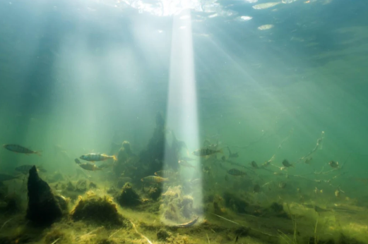 Echosonda Deeper CHIRP+4 Waska_wiazka