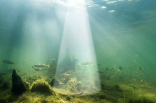 Echosonda Deeper CHIRP+4 Wiazka_srednia