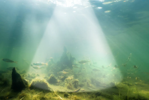 Echosonda Deeper CHIRP+4 Wiazka_szeroka