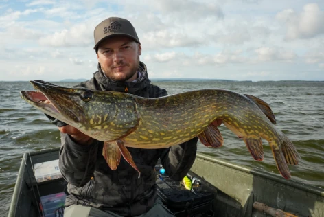 sprzęt na szczupaka