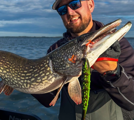 TOP 10 nowości na szczupaki