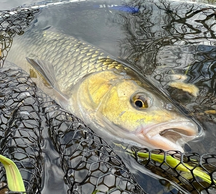 Sprawdź sprzęt na klenie