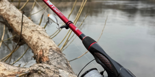 Sprawdź wędki na klenia