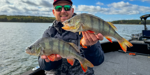 Sprawdź wędki na okonia