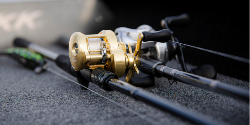 Sprawdź wędki na szczupaka 