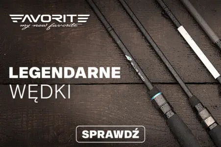 Wyprzedaż zimowa