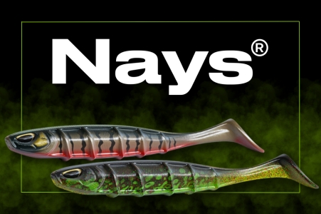 Nays