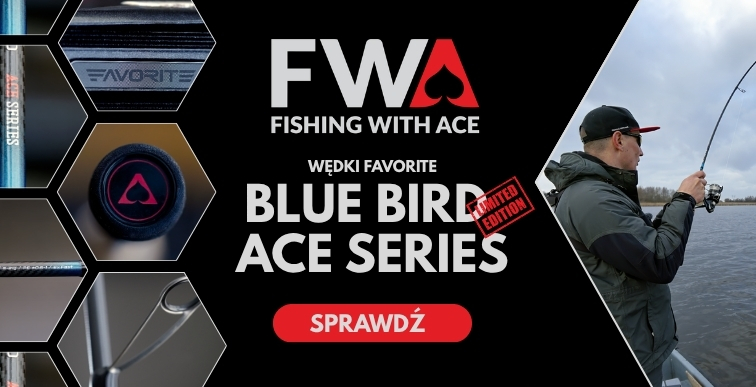 Blue Bird Ace Series