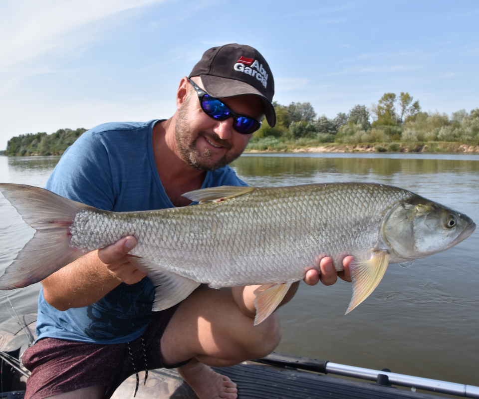 Wiślane bolenie za 3.... 2.... 1...!