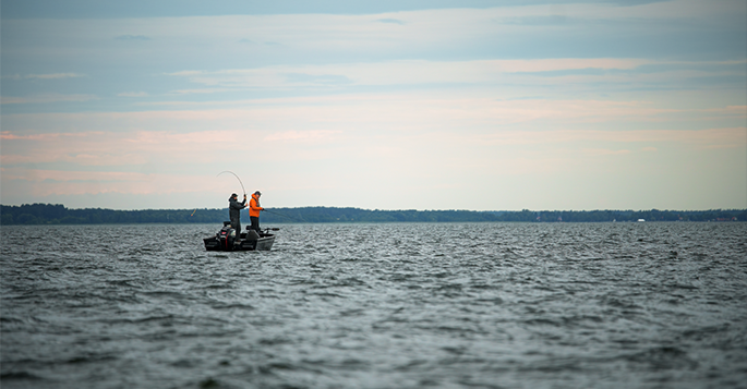 Newsletter FishingStore