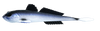 Przynęta Libra Lures Gobio 7.3" | 18.54 cm | 003 - Blue Whitefish