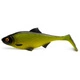 Tench