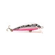Rainbow Trout