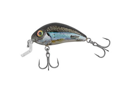 Wobler Salmo Rattlin Hornet Shallow 3,5cm | Clear Holo Smelt | pływający