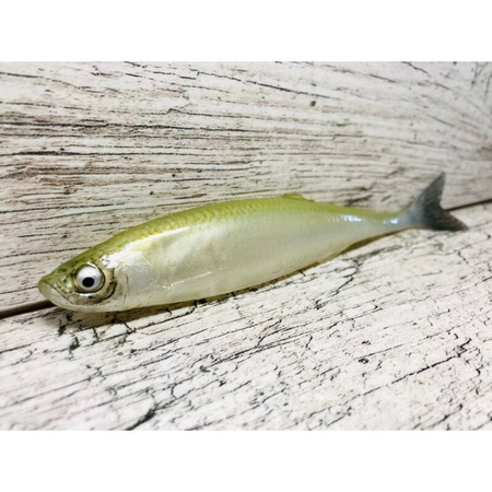 Guma SEWRO CUSTOM BAIT Ukleja 16cm- Oliwka Naturalny Ogon
