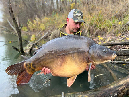 Haczyki Karpiowe BKK Carp Continental | #2 | 10 szt.