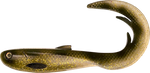 Przynęta Headbanger FireTail 21cm - Spotted Bullhead