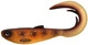 Spotted Bullhead