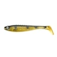 Perch Shiner