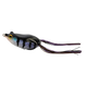 Gill