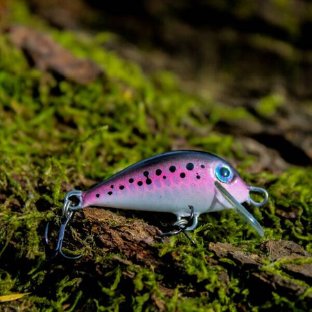 Wobler Engima Baits Brisk 4cm | Tęczak | pływający