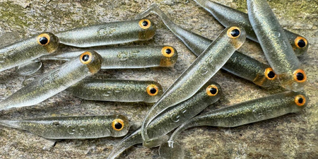 Guma Great Fish GF1 4,9cm | Natural | krewetkowy |10 szt.