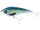 Atlantic Mackerel \ 12