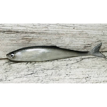 Guma SEWRO CUSTOM BAIT Ukleja 16cm- Czarna Naturalny Ogon