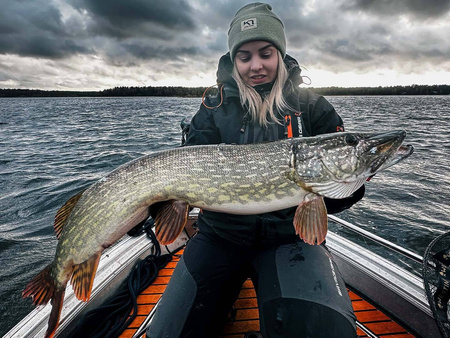 .Przynęta Savage Gear Fat Vibes XL 12cm | Golden Ambulance