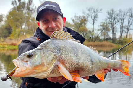 Guma Savage Gear Craft Bleak 7cm | Holo Baitfish