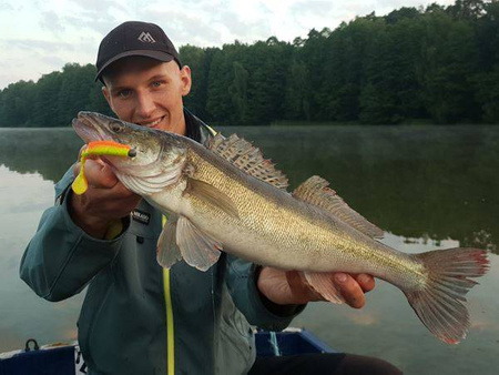 .Przynęta MIKADO FISHUNTER 8cm, kolor 02RH op 5szt