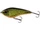 Tonący \ Real Baltic Pike \ 10
