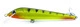 Sandacz Fluo