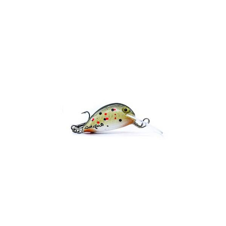 Wobler Engima Baits Cheerfish SDR 3cm | Pstrąg | tonący