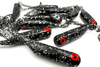 Guma Great Fish GF1 Twister 4,9cm | Glitter Graphite | rybny | 10 szt.