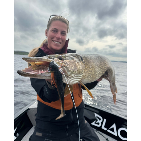 Guma hybrydowa BlackBay BlackBug Beetle Orginal | 21 cm | 75g | Bloody Roach