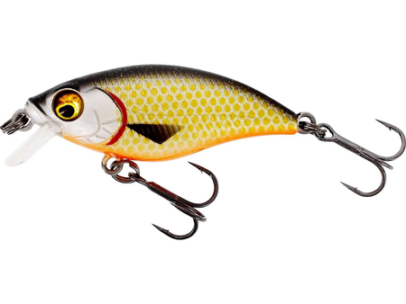 Wobler Westin BuzzBite SR Crankbait 4cm | Official Roach | wolno pływający