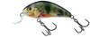 Wobler Salmo Rattlin Hornet Shallow 3,5cm | Supernatural Perch | pływający