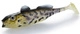 Bullhead