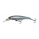 Roach