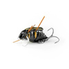 Wobler Imago Lures Maybug 3cm Surface Exclusive - pływający - BK