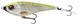 Lemon Roach