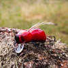 Wobler Engima Baits Osa 3,5cm | Osa Wisienka | pływający