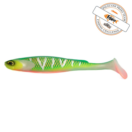 Guma FishUp RAM Shad 20,0cm | 8" | #351 Silver Tiger