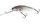 Holo Grey Shiner