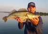 Guma Fox Rage Zander Pro Shad 12cm | UV Red Belly Roller